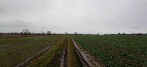 IMG 20240207 090044.jpg