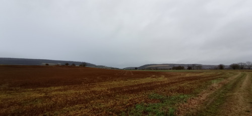 IMG 20240207 091612.jpg