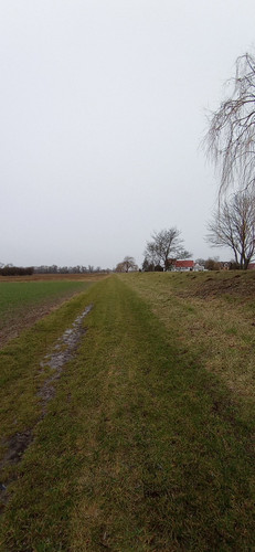 IMG 20240207 101052.jpg