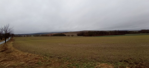 IMG 20240207 120332.jpg