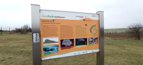 IMG 20240207 123009.jpg