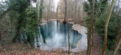 IMG 20240207 114755.jpg