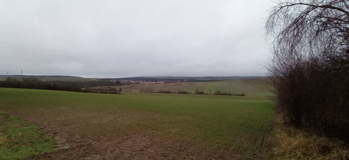 IMG 20240207 121548.jpg