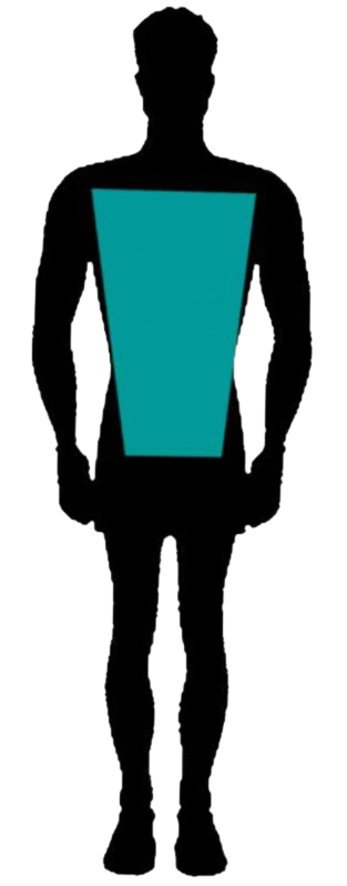 male trapezoid.png