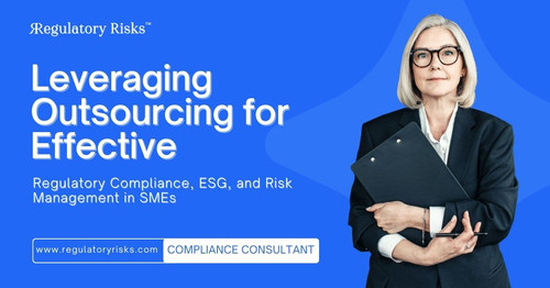 Leveraging Outsourcing for Effective Regulatory Compliance, ESG, and Risk Management in SMEs.jpg