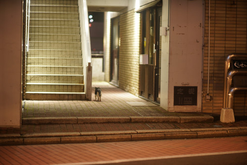 A7R01664.jpg