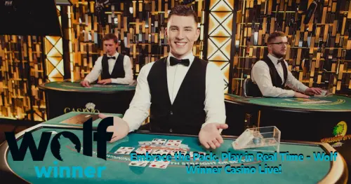 Embrace the Pack, Play in Real Time Wolf Winner Casino Live!.webp