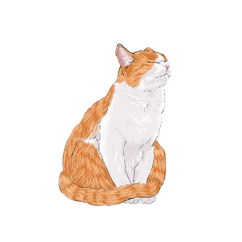 left cat.png