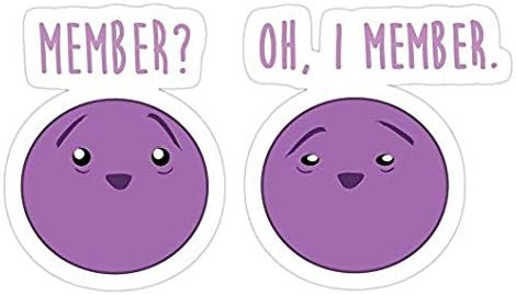 41lhPnvQyvL. AC .jpg