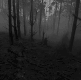 evil dead.gif