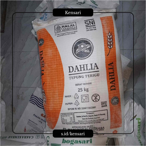 tepungterigu dahlia.jpg
