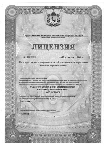лицензия 1 724x1024.jpg