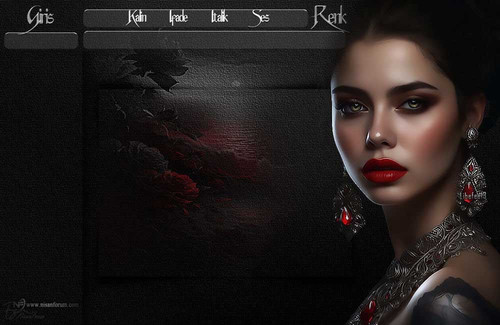 Bayan Radyo Tema 301 liebefee13