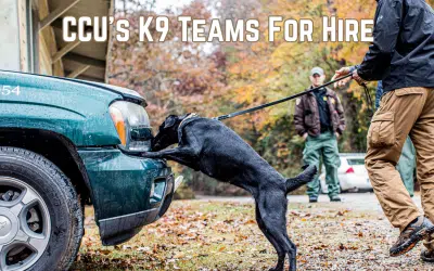 Professional K-9 Training & Working Dog | Custom Canine Unlimited.webp