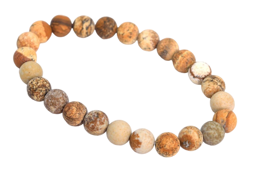 cz.1 PhotoRoom.png PhotoRoom.png