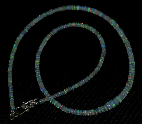 hx.2.jpg