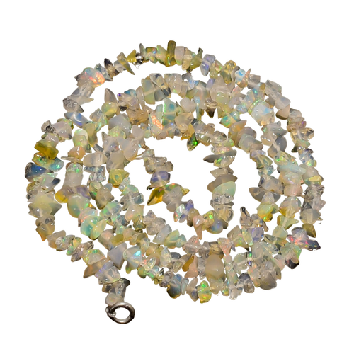 bq.1 PhotoRoom.png PhotoRoom.png