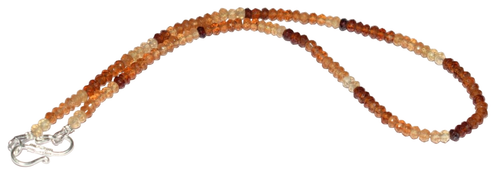 bp.1 PhotoRoom.png PhotoRoom.png