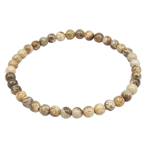 aa.1 PhotoRoom.png PhotoRoom.png