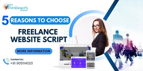 5 reasons to choose freelance website script for startup business.jpg