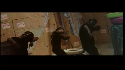 f 99.webp