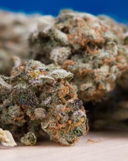 Elevate Your Experience with Premier Weed Dispensary | Pot Paradise DC.jpg