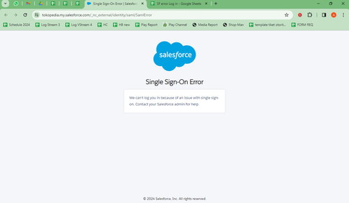 SF cant login.png