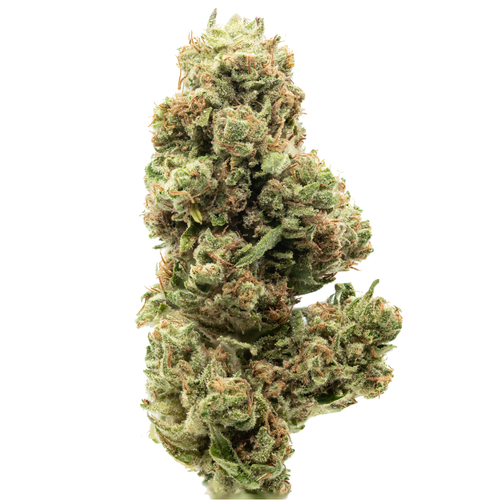 Purple Afghan Kush.png