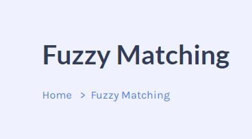 Fuzzy Matching Excel | Matchdatapro.com.jpg