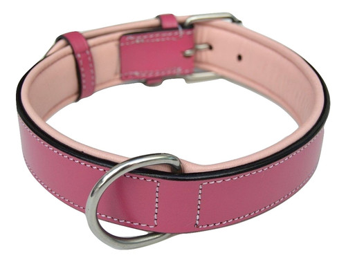 pink collar.jpg