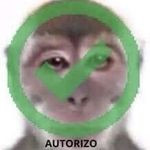2ca9fa0f7101.jpg