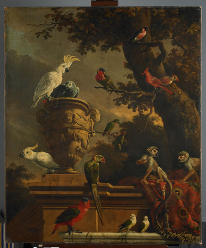 Hondecoeter, Melchior d' Зверинец, 1695, 135 cm х 116,5 cm, Холст, масло
