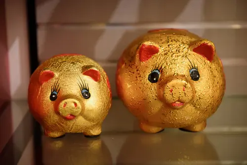 golden pigs 800.jpg