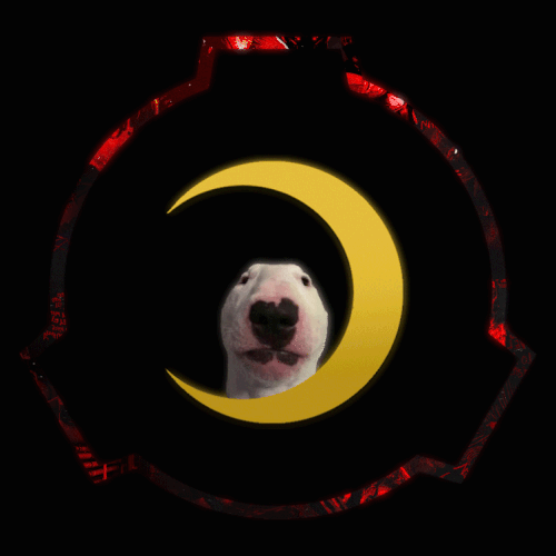 teststst 2.gif