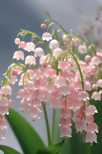 upload.jpg