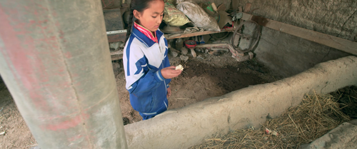 The.White.Yak.2016.2160p.WEB DL.DDP5.1.H265 MISS.mkv 20240212 185506.690.png