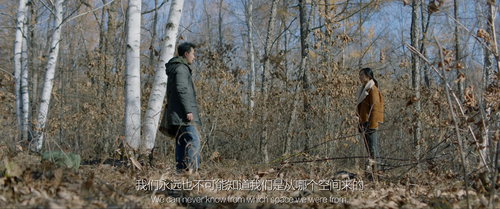 Parallel.Forest.2020.1080p.WEB DL.AAC.H264 MISS.mp4 20240212 182208.021.png