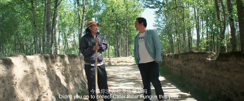 The.White.Yak.2016.1080p.WEB DL.DDP5.1.H264 MISS.mkv 20240212 185348.984.png