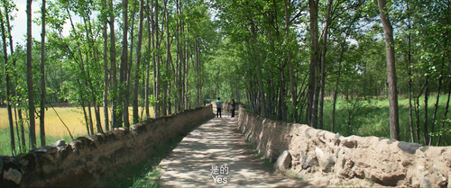 The.White.Yak.2016.2160p.HQ.WEB DL.DDP5.1.H265 MISS.mkv 20240212 185312.254.png