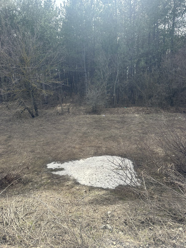 IMG 6545.jpg