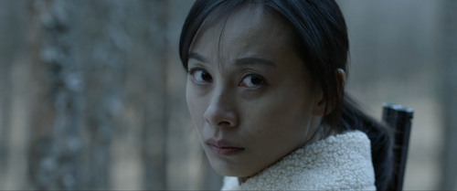 Parallel.Forest.2020.2160p.WEB DL.AAC.H265 MISS.mp4 20240212 182320.369.png