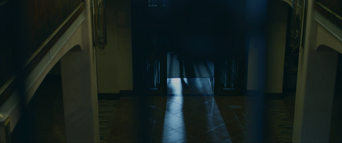 Parallel.Forest.2020.2160p.WEB DL.AAC.H265 MISS.mp4 20240212 182318.846.png