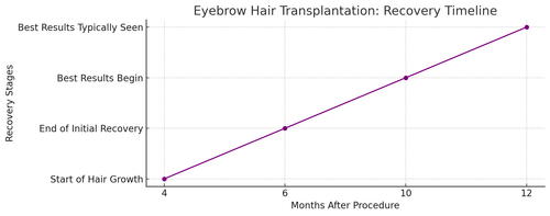 visualization image 2.png