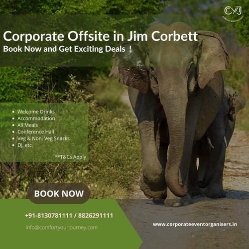 Choose the Best Corporate Event Venues in Jim Corbett – Perfect for Team Building.jpg