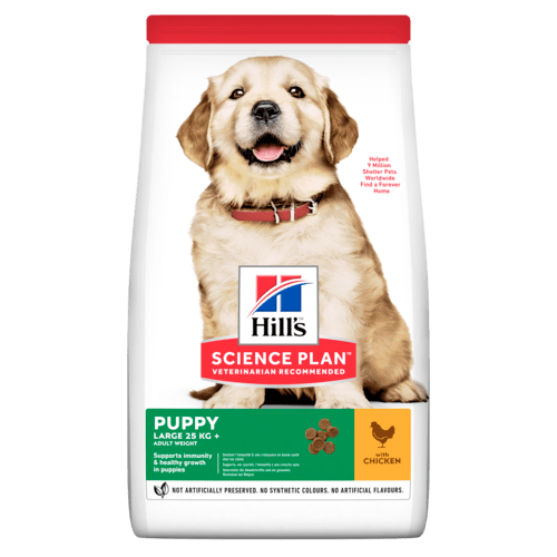 puppy large (1).png