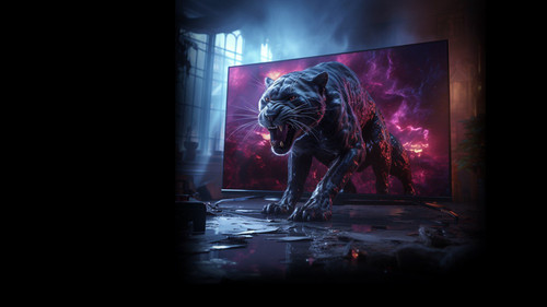 IMG 20240211 174937 978.jpg