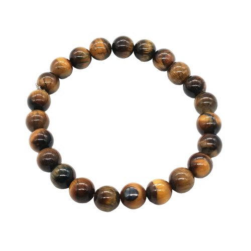 tm.1 Photoroom.png Photoroom.png