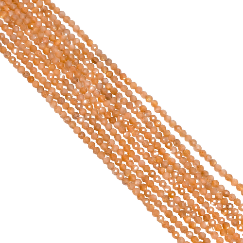 li.1 PhotoRoom.png PhotoRoom.png