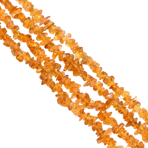 le.1 PhotoRoom.png PhotoRoom.png