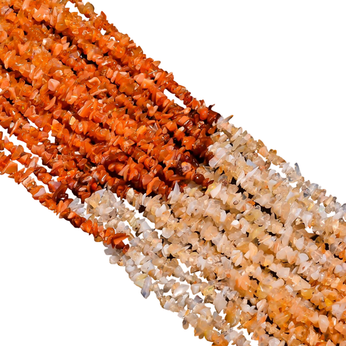 gv.1 PhotoRoom.png PhotoRoom.png